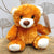 Camel Brown Baby Bundle Bear