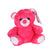 Cerise Baby Bundle Bear