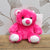 Cerise Baby Bundle Bear